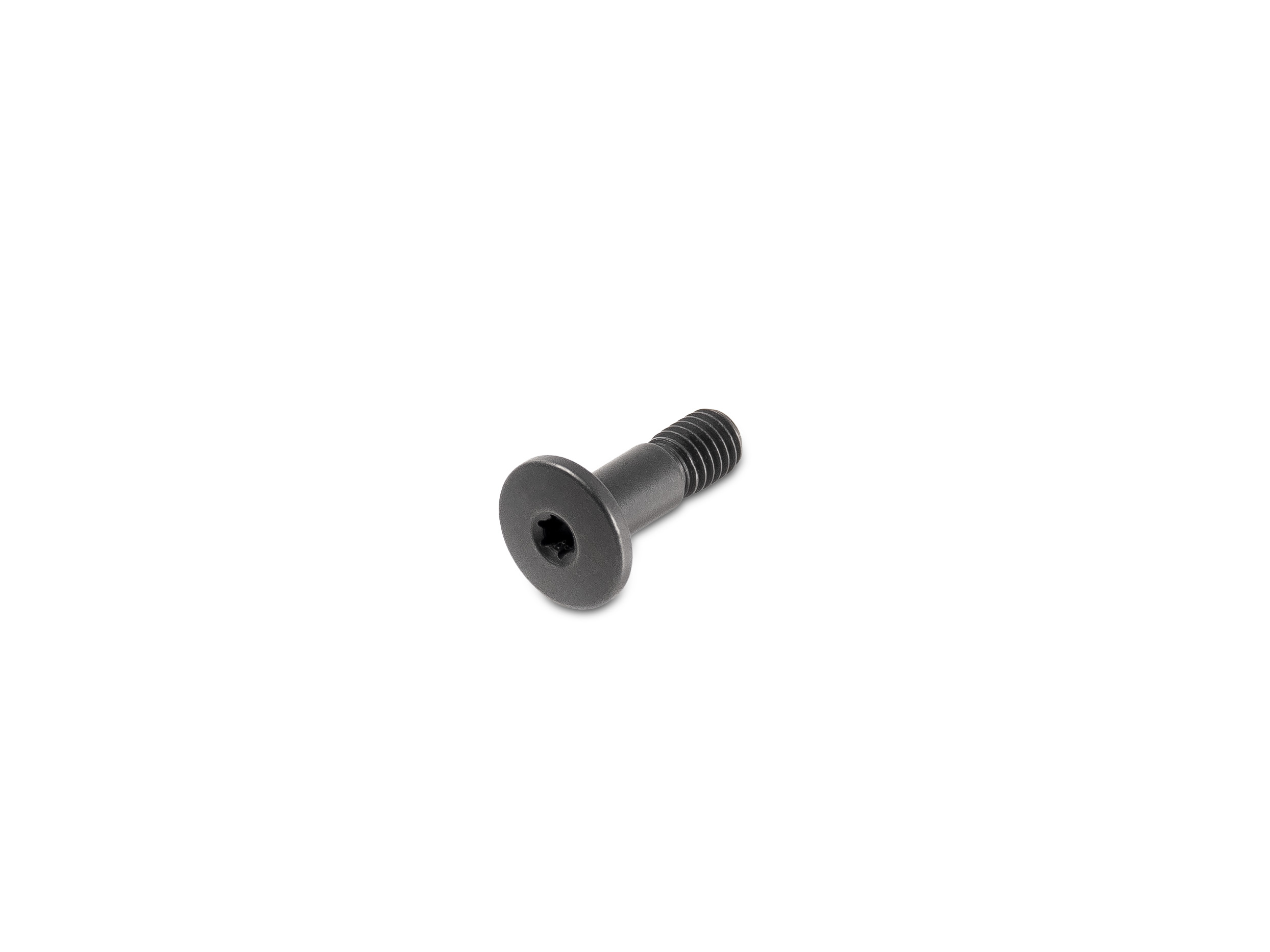 GoPro Screw (Aero/SL Grano)